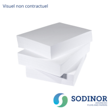 CHROMA 80G FOREST FSC A4 - Ramette de 500 feuilles 